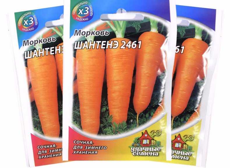 Морковь шантане: описание сорта, отзывы, выращивание и уход
