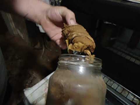 Ферментация табака в домашних условиях: различные способы, как приготовить ферментированный табак дома, как сделать ферментатор своими руками