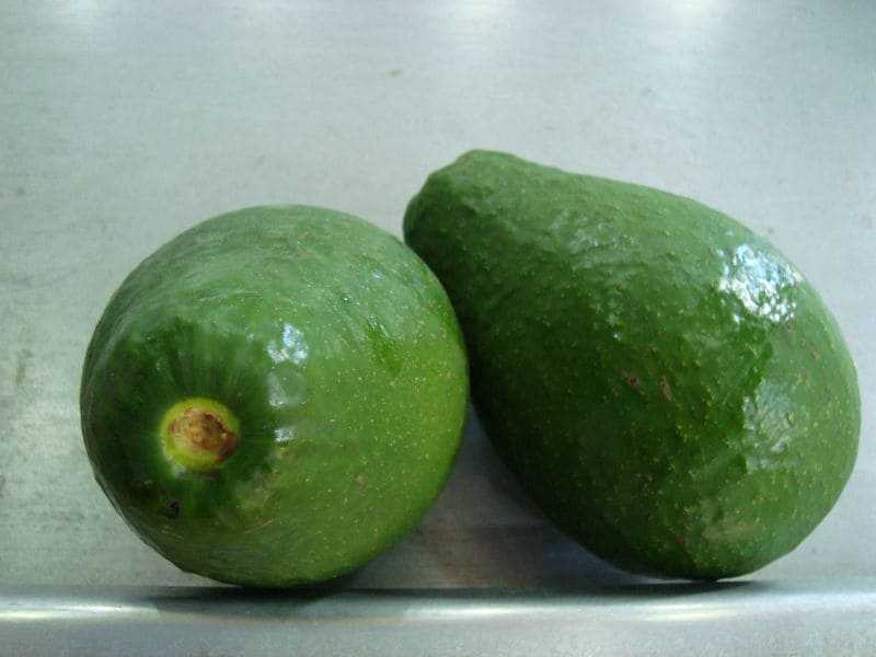 Как дозреть авокадо в домашних условиях, что делать, если он неспелый и жесткий, как сделать мягким, как хранить, чтобы оно дозрело - veela