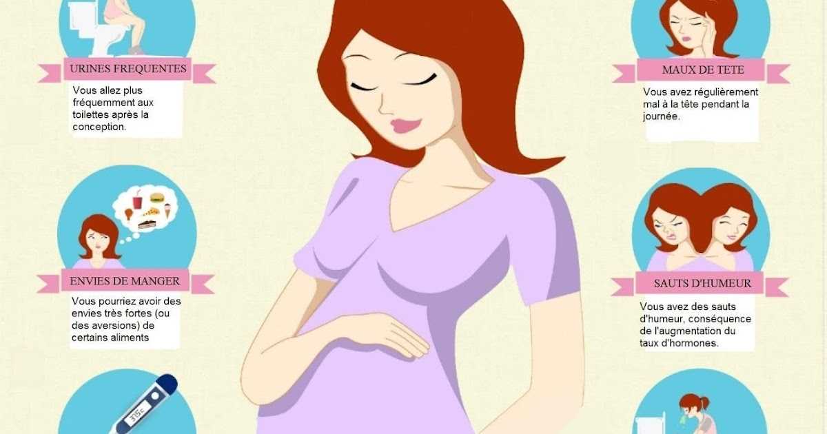 Польза и вред петрушки при беременности на ранних и поздних сроках