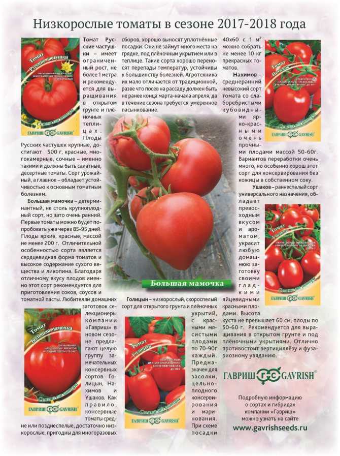 Томат любаша f1: характеристика и описание сорта с фото и видео, урожайность помидора ф1, отзывы тех, кто сажал черри