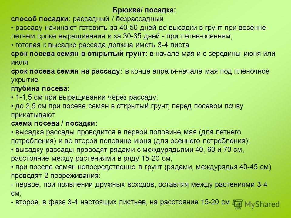 Исконно русский овощ – репа: сорта и свойства