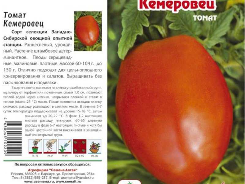 Выращиваем от посева до сбора урожая томат «розовое чудо f1»: отзывы фермеров и практические рекомендации