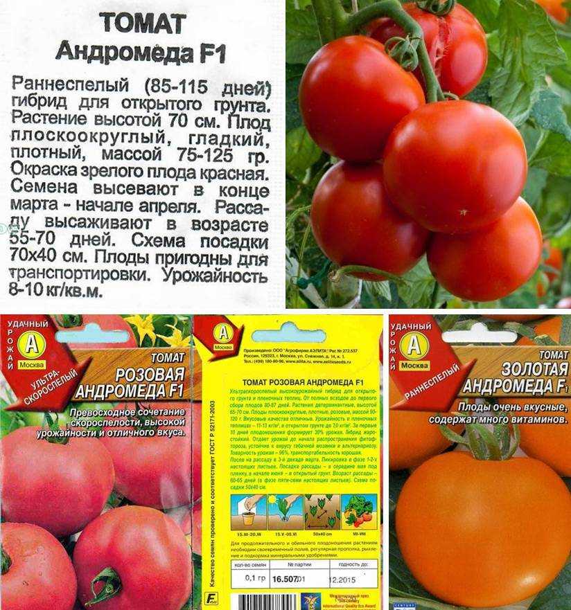 Фото, отзывы, описание, характеристика, урожайность гибрида томата «афродита f1».