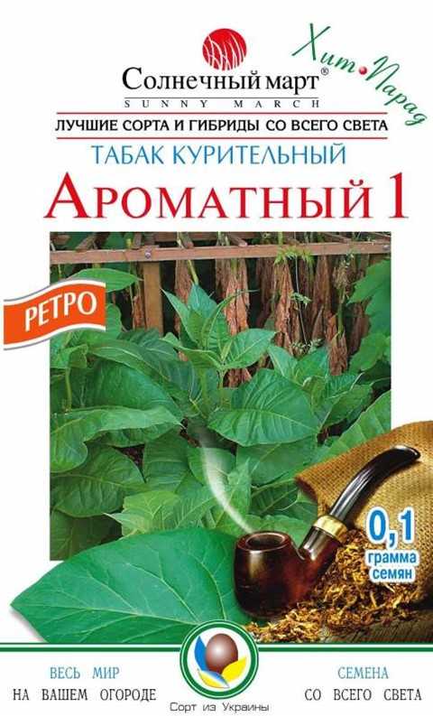 Как выглядит растение табак- фото, описание плодов и листьев, всё о курительном табаке, другие сферы его применения - veela