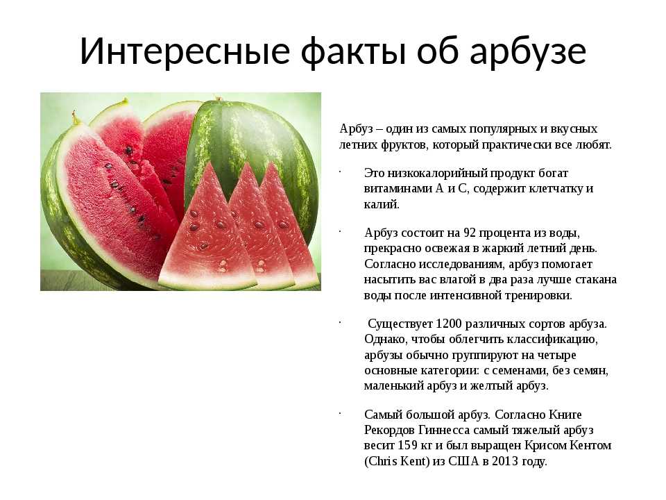 Ало-сахарный колосс: почему арбуз – ягода, а не фрукт? (6 фото)