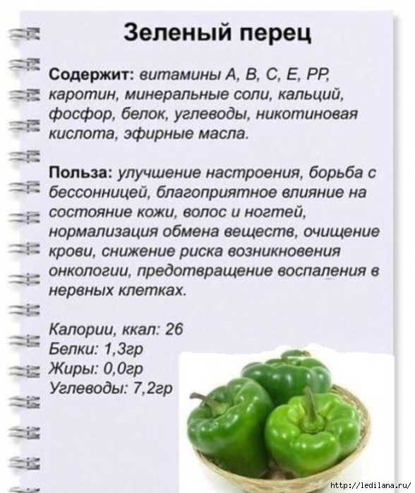 Зеленый болгарский перец: польза и вред, калорийность сладкого овоща, чем он полезен при различных заболеваниях