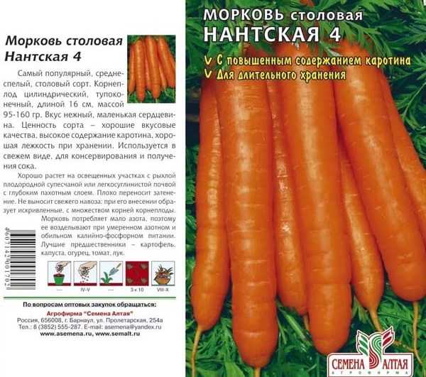 Морковь нантская 4: характеристика и описание сорта с фото, посев, уход и сроки созревания, а также возможные сложности при выращивании русский фермер