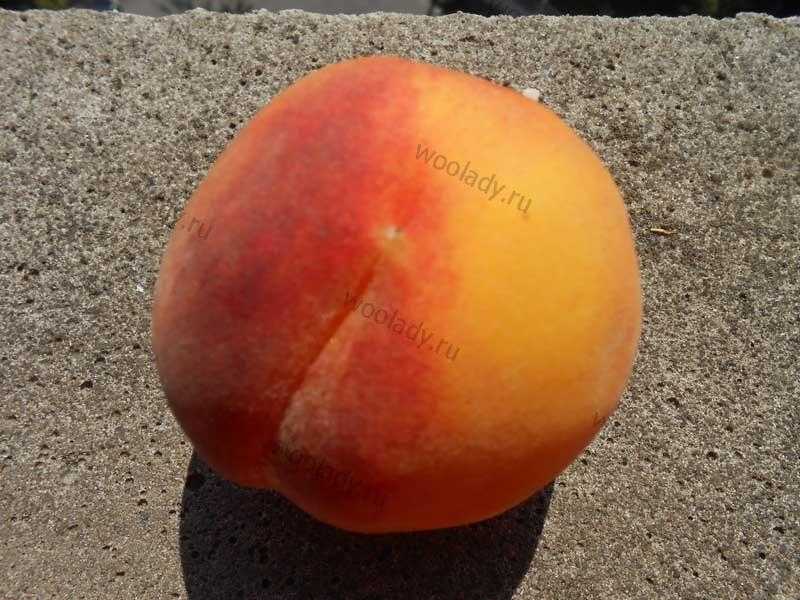 Персики, польза и вред для здоровья, состав