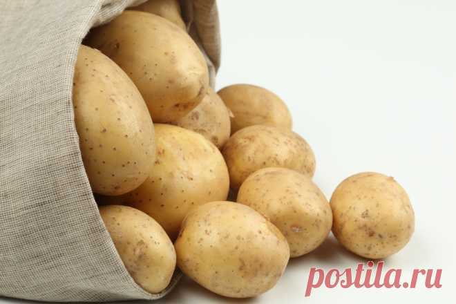 Картофель рамос: описание сорта, фото, отзывы о вкусовых качествах и сроках созревания, особенности ухода, выращивания и хранения, характеристика урожайности