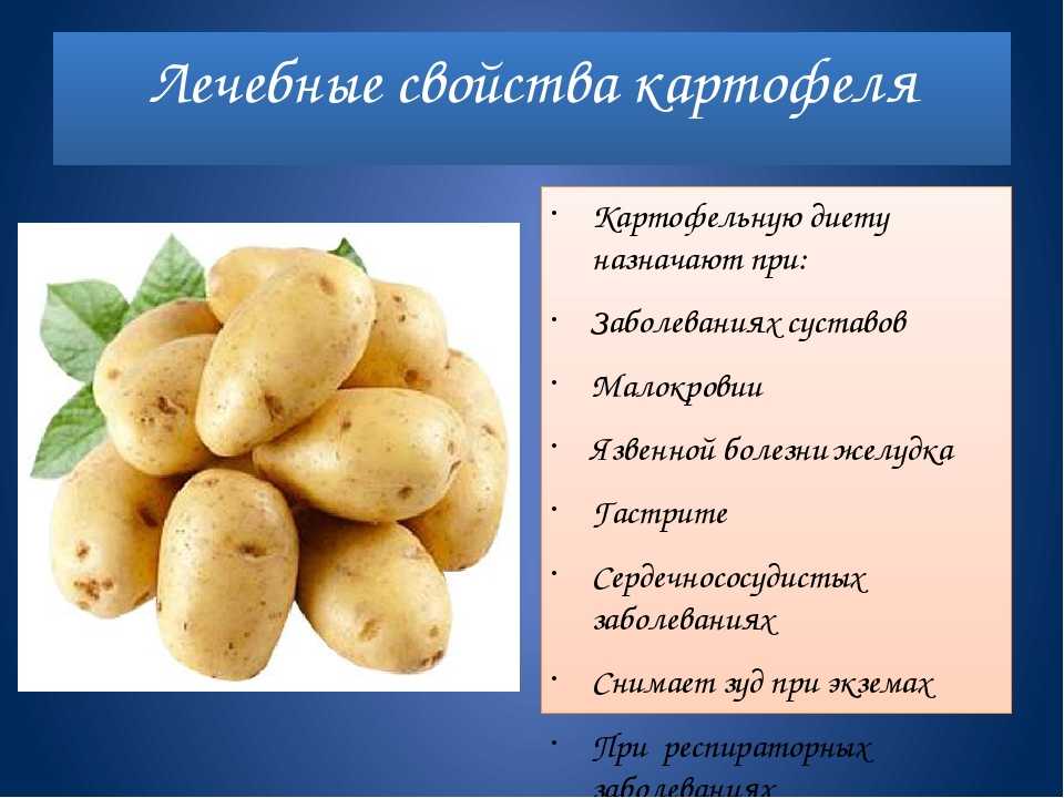 Можно ли есть сырую картошку: польза и вред для организма человека, лечебные свойства, что будет со здоровьем, почему нельзя, когда хочется, причины