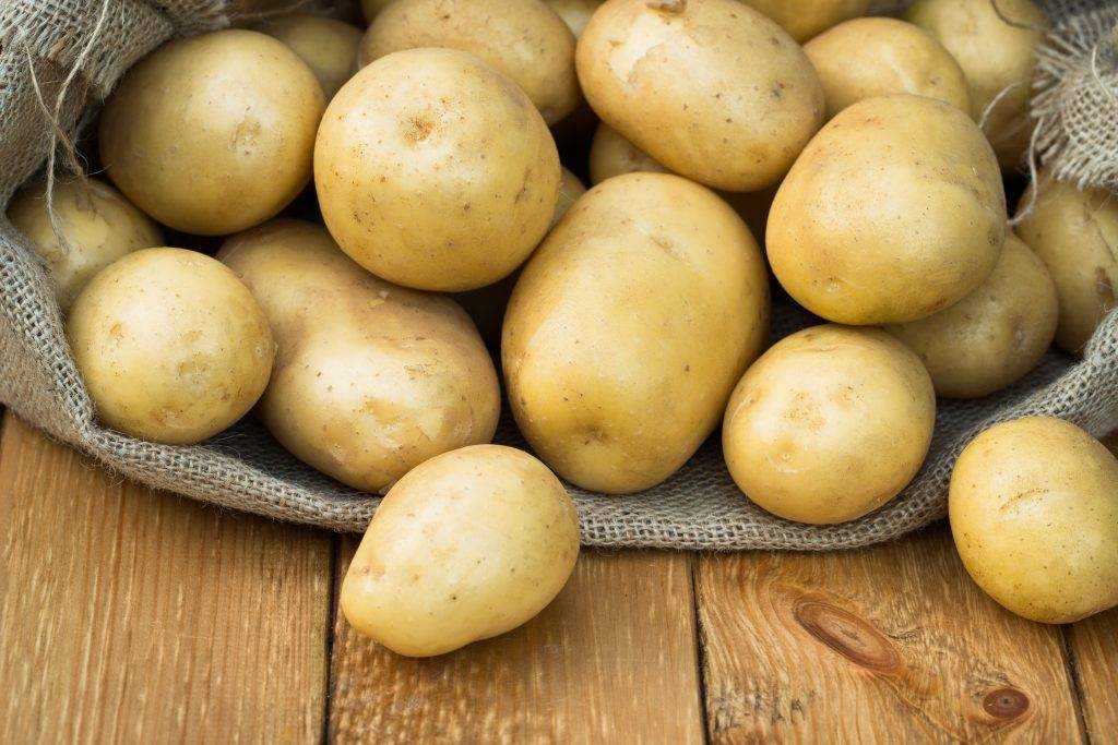 Картофель фермер: описание сорта, фото, отзывы о вкусовых качествах и сроках созревания, характеристика урожайности картошки, а также советы фермеров по уходу