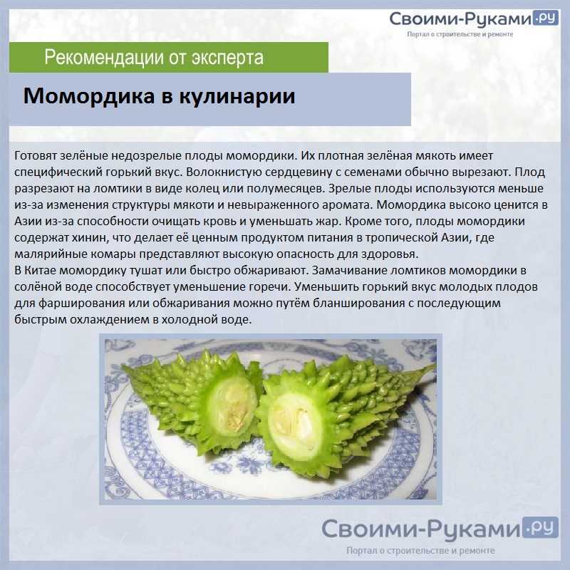 Момордика харанция: польза, состав, как едят