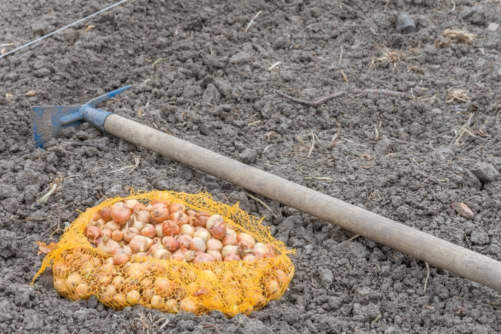 Накрыть грядку — топ 7 укрывных материалов сохраняющих почву и растения зимой русский фермер