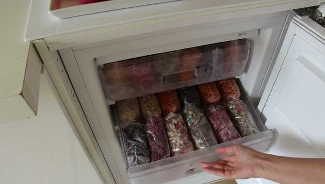 Полезный репчатый лук — можно ли хранить в холодильнике и как?