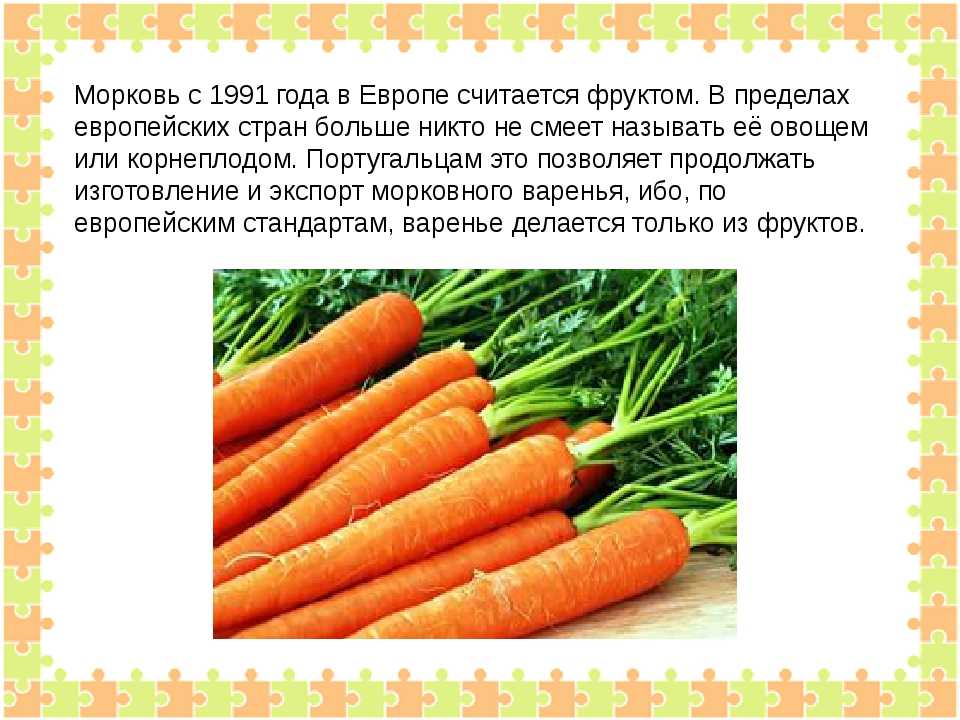 Все о желтой моркови: от истории селекционирования до посадки и сбора урожая