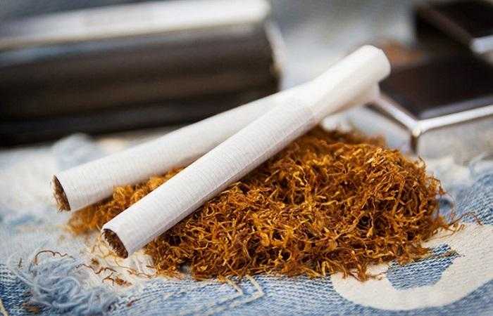 Как вырастить табак курительный трапезонд 92