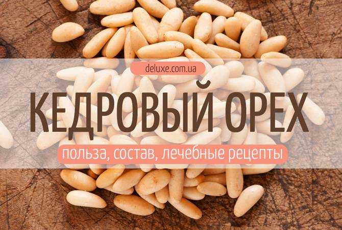 Кедровые орехи — полезные свойства и рецепты применения, калорийность | здорова и красива